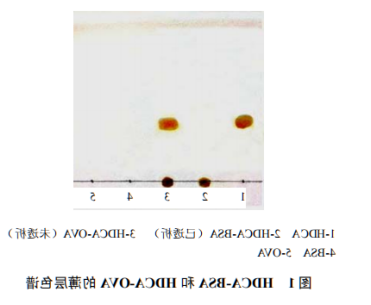 1595318058137108.png image.png