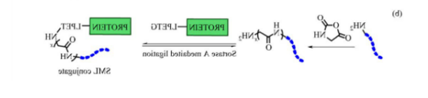 1595847232676514.png image.png