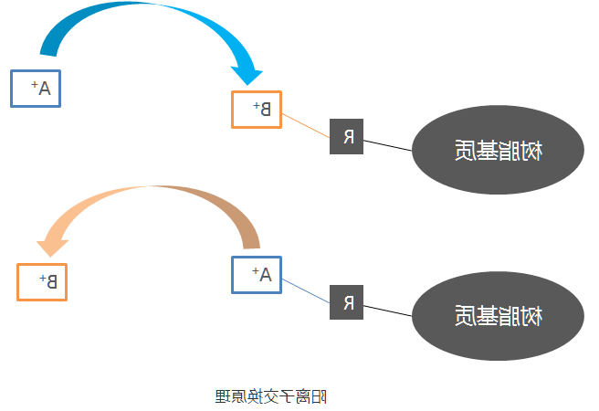 分离纯化单克隆抗体 分离纯化单克隆抗体