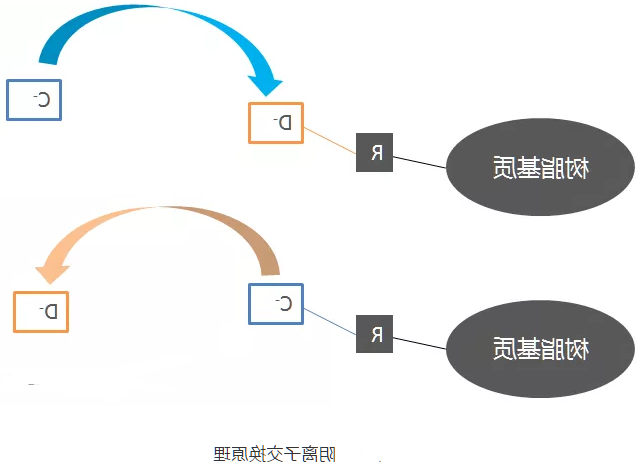 分离纯化单克隆抗体 分离纯化单克隆抗体