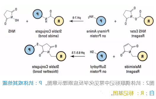 1605236261961237.png image.png