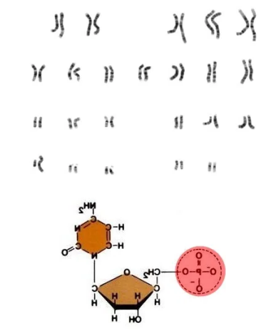 101.png