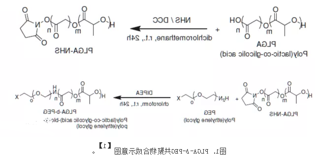 包载脂溶性**或水溶性**的PLGA-b-PEG纳米载体