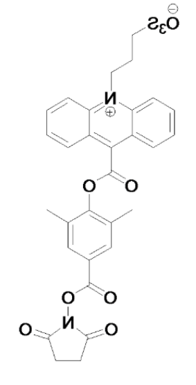 1621217916752591.png image.png