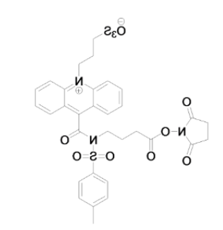 1621217947365612.png image.png