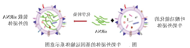 1621506620451173.png image.png