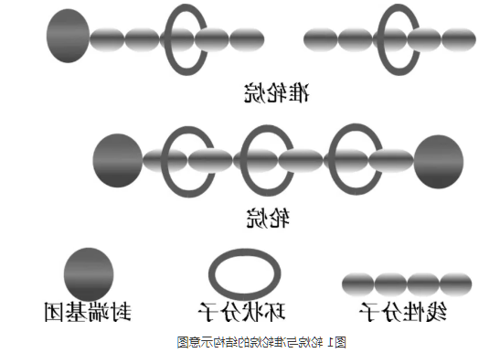 1629365684888029.png image.png