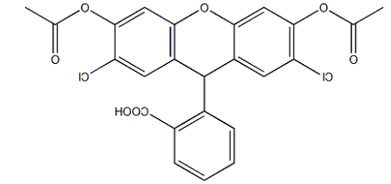 H2DCFDA (DCFH-DA) 
