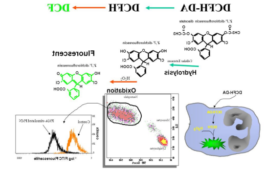 H2DCFDA (DCFH-DA) 