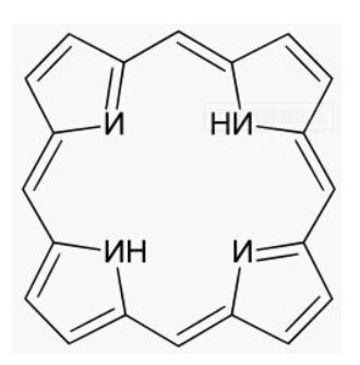 1638845081(1).jpg