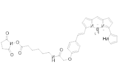 BDP 650/665 X NHS ester.png
