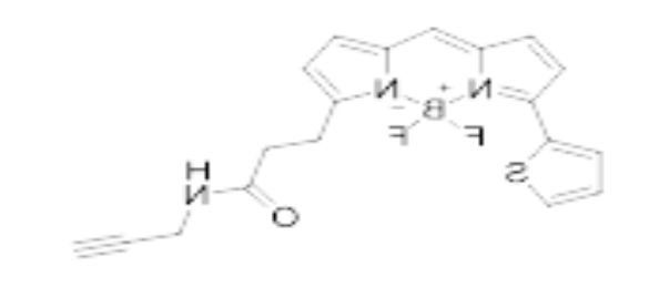BDP 558/568 alkyne.png BDP 558/568 alkyne.png