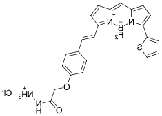 BDP 630/650 hydrazide，cas2183473-43-8.png