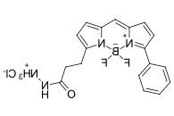 BDP R6G hydrazide.png
