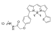 BDP TR hydrazide.png
