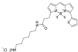 BDP 558/568 amine.png