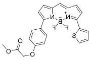 BDP TR methyl ester, 5 mM in DMSO.png