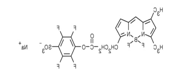 BODIPY FL, STP Ester, Sodium Salt.png
