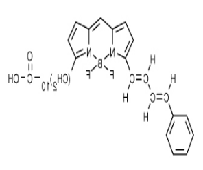 BODIPY 581/591 C11(脂质过氧化传感器).png BODIPY 581/591 C11(脂质过氧化传感器).png