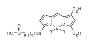BODIPY FL C16（4,4-二氟-5,7-二甲基-4-硼杂-3a,4a-二氮杂-s-引达省-3-棕榈酸）.png