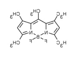 BODIPY 493/503.png BODIPY 493/503.png
