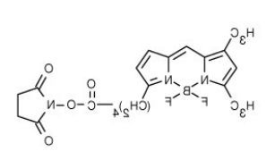 BODIPY FL-C5 NHS 酯.png