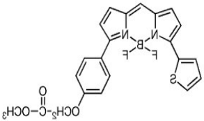 CellTrace BODIPY TR Methyl Ester (Lipophilic Counterstain For GFP).png CellTrace BODIPY TR Methyl Ester (Lipophilic Counterstain For GFP).png