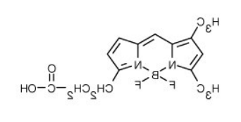 BODIPY FL（4,4-二氟-5,7-二甲基-4-硼杂-3a,4a-二氮杂-s-引达省-3-丙酸）.png