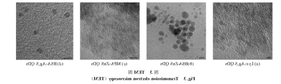 BSA-Ag2SQDs。Lyz-AgzSQDs、BSA-ZnSQDs、MPA-ZnSQDs