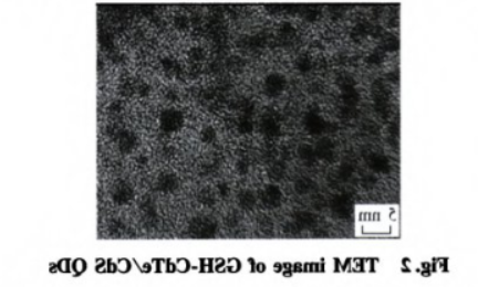 GSH-CdTe/CdSQDs.png