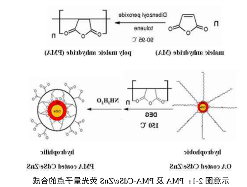 PMA-CdSe/ZnS QDs.png