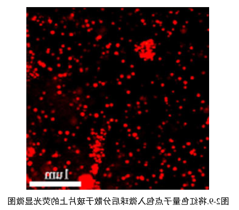 聚苯乙烯修饰CdSe/ZnS荧光量子点.png