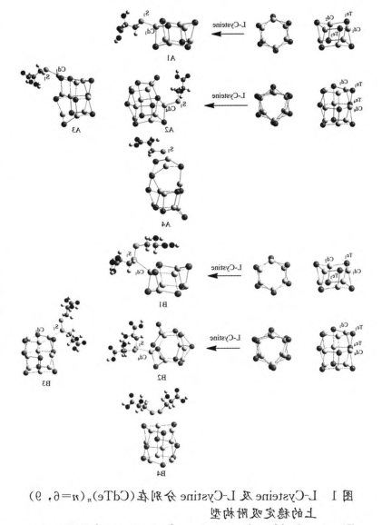 L-半胱氨酸-CdS量子点.png