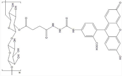 FITC-Dextran|荧光标记葡聚糖(葡聚糖分子量可选).png FITC-Dextran|荧光标记葡聚糖(葡聚糖分子量可选).png