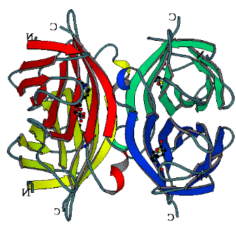 DSPE-PEG3400-Streptavidin|磷脂-聚乙二醇-链霉亲和素.png
