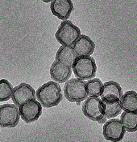 羧基化介孔二氧化硅（5μm）