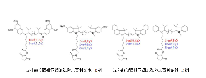 Cy3,Cy5和Cy7菁染料的激发波长光谱图