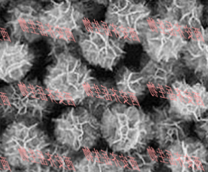 DNAnanoflower