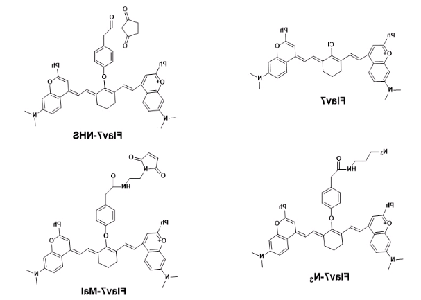 Flav7-NHS ester 