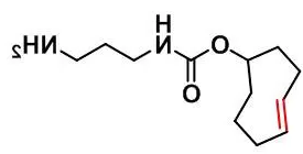 反式环辛烯-氨基 反式环辛烯-氨基