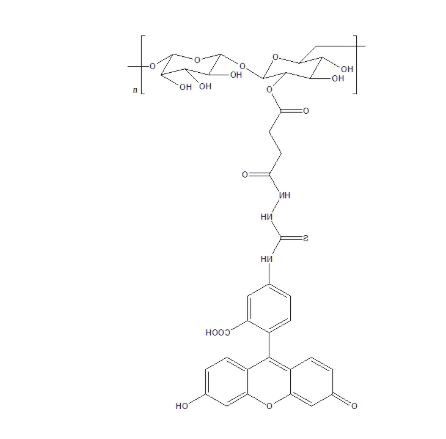 Dextran-Fluorescein Dextran-Fluorescein