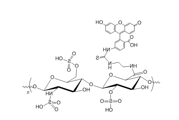 FITC-Chitosan