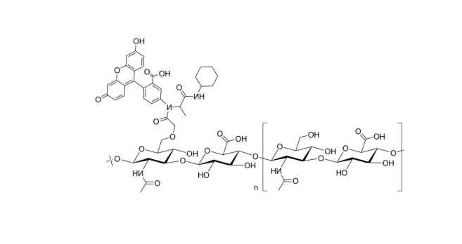 FITC-dextran