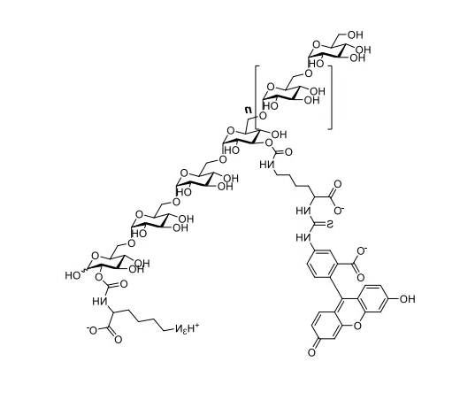 FITC-dextran