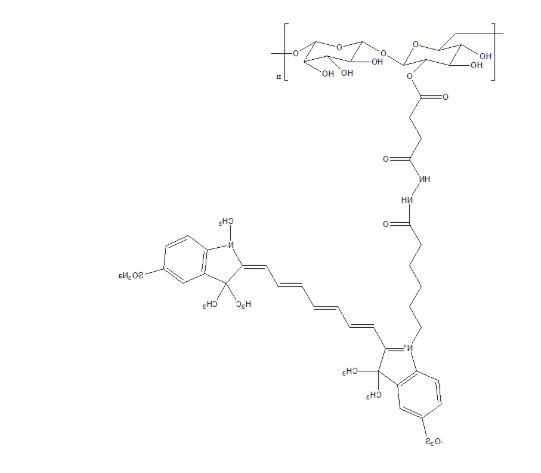 CY7-Dextran CY7-Dextran
