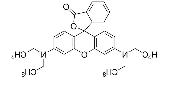 罗丹明B-色氨酸