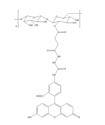 FITC-Dextran FITC-Dextran