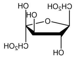 FITC- Fructose FITC- Fructose