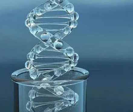   透明质酸钠 