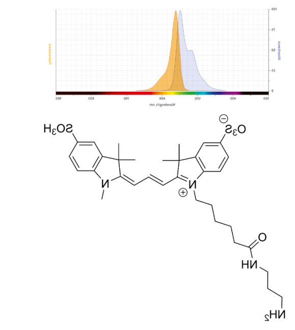 Cyanine3 amine